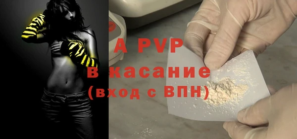 молекула духа Осинники
