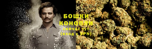 spice Осташков