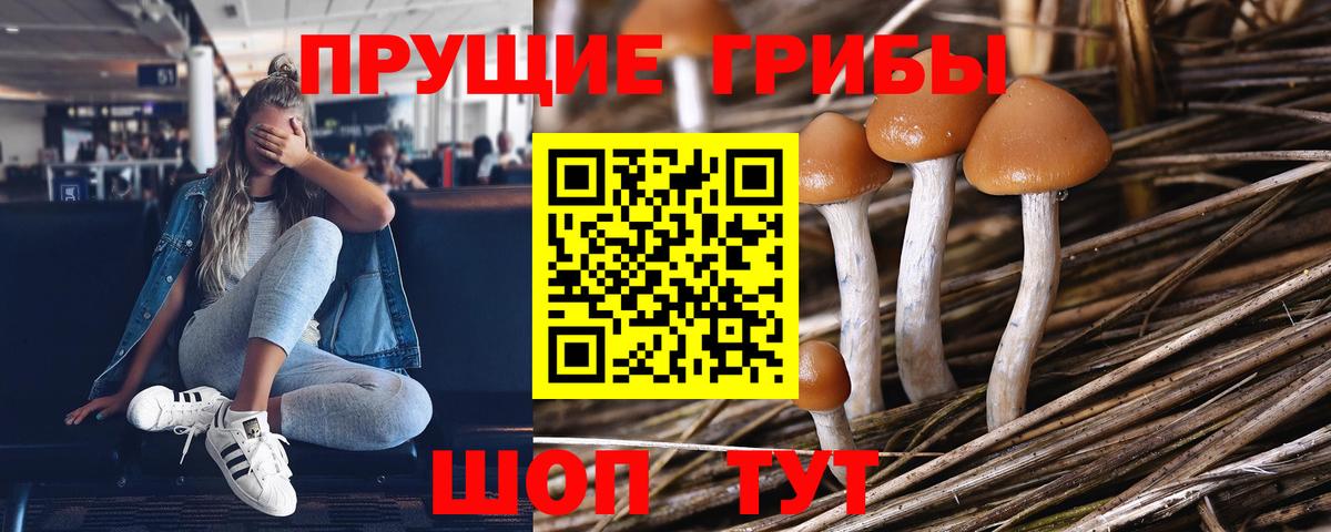 Протвино  Галлюциногенные грибы ЛСД  Вход с VPN 